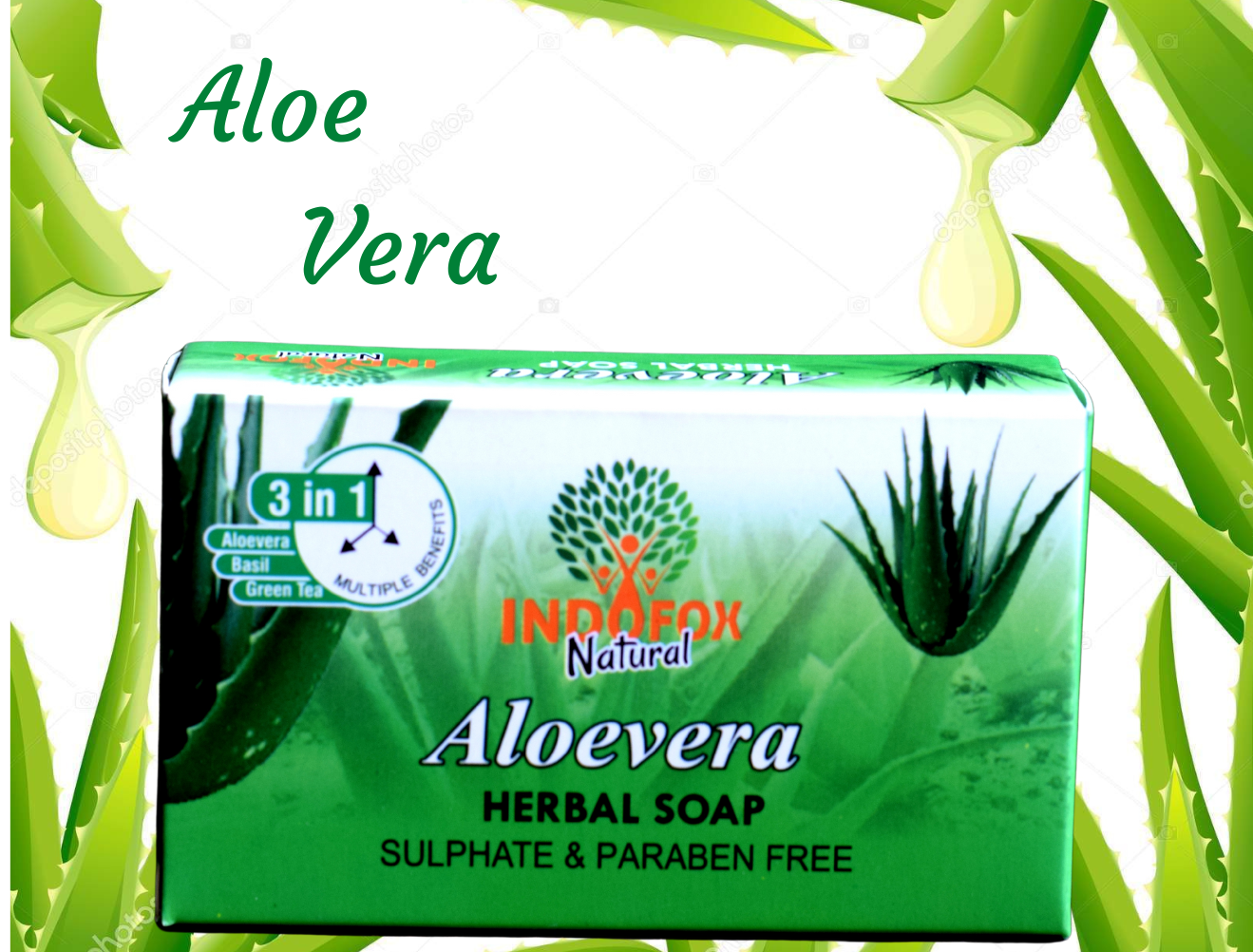 Aloe Vera